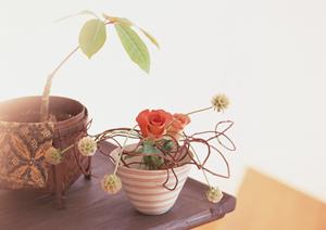 個性的な品が揃うインテリア照明の通販